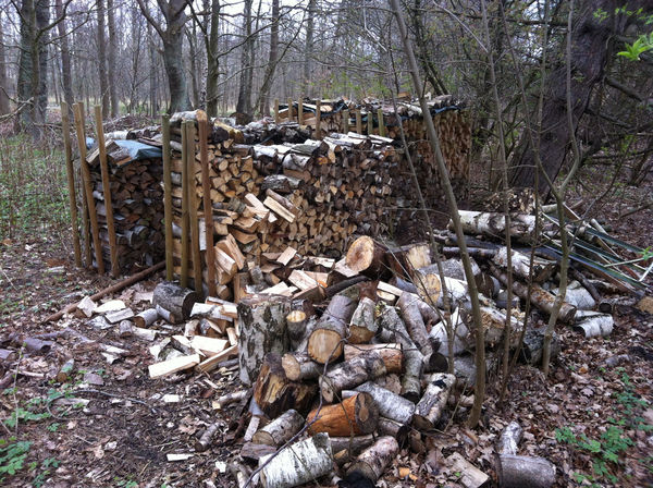 climate friendly, wood